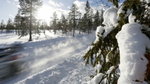 5210_snow-tree-road-sweden-205_666_896x504