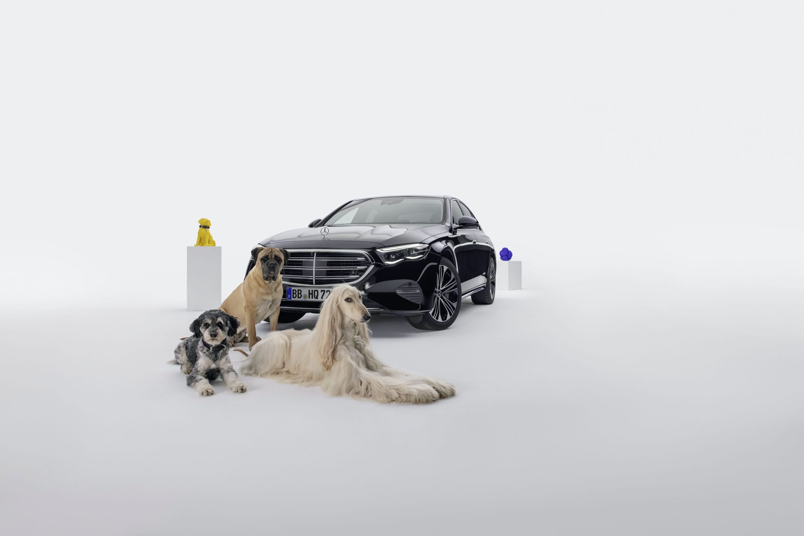 MBUX Bark Assist: un asistente de voz de Mercedes-Benz para tus perros